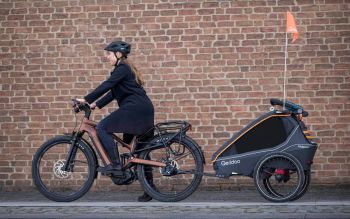 Fahrradanhänger im Überblick